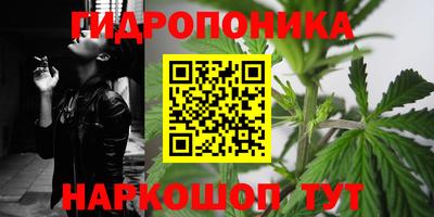 СК Свободный